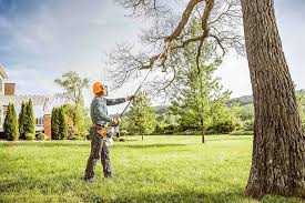 Trusted Englewood, FL Tree Removal and Landscaping Services Experts